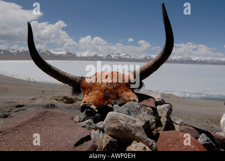 Mani stones and Yak horns in front of Lake Namtso ('Heavenly Lake'), frozen, Damchung, Tibet, China, Asia Stock Photo