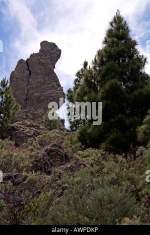 The Praying Monk in the mountains of Gran Canaria, observatory in the