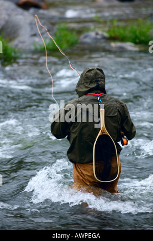 Man Fly Fishing, Cairns Pool, Beaverkill River, Catskill Park, New