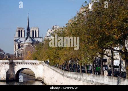 View of the Seine and the Notre Dame, Paris, France, Europe Stock Photo