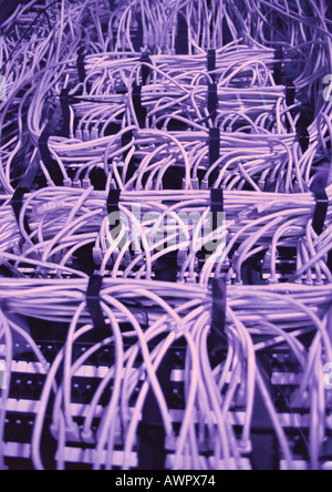 Computer wiring, close-up Stock Photo