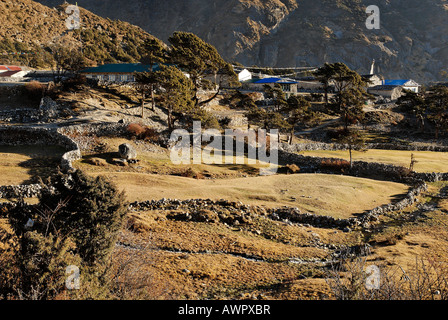 Thame Sherpa village, Thame Khola valley, Bhote Koshi Tal, Sagarmatha National Park, Khumbu, Nepal Stock Photo