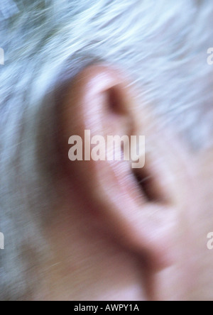 Senior man's ear, extreme close-up, blurred Stock Photo