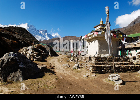 Stupa and Trekking Lodge at Khumjung Sherpa village, Sagarmatha National Park, Khumbu, Nepal Stock Photo