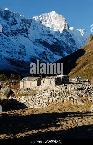 Thame Sherpa village, Thame Khola valley with Tengkang Poche (6500), Bhote Koshi Tal, Sagarmatha National Park, Khumbu, Nepal Stock Photo