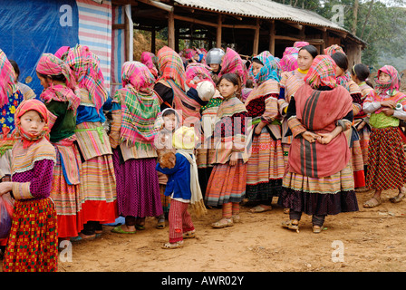Woman of the Flower Hmong on a market, Ha Giang Province, northern Vietnam Stock Photo