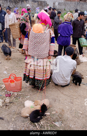 Animal market of Bac Ha, Ha Giang province, northern Vietnam Stock Photo