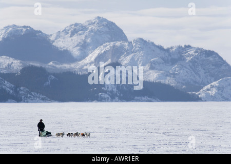 Dog team with musher in the distance, frozen Lake Laberge, Yukon Territory, Canada Stock Photo