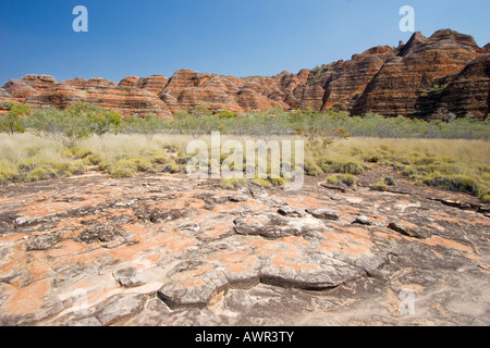 Hiking track (The domes walk), Bungle Bungle, Purnululu National Park, World Heritage Site, Kimberley, West Australia, Australia Stock Photo