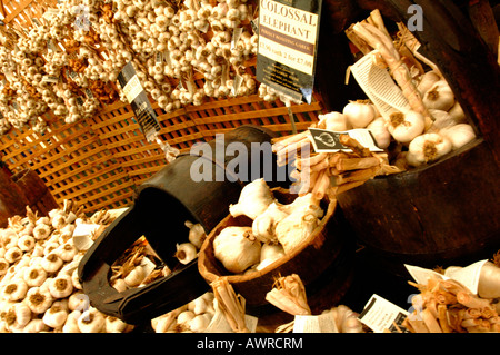 fresh garlic bulbs and cloves on for sale at a country fayre fete market garlic festival on the isle of wight rural produce Stock Photo