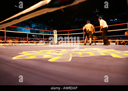 Boxing match showing one boxer punching the other on the far side of the ring with the referee looking on. Stock Photo