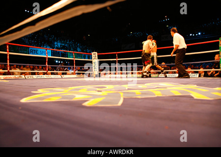 Boxing match showing one boxer punching the other on the far side of the ring with the referee looking on. Stock Photo