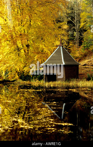 Loch Dunmore in Autumn, Faskally Woods, near Pitlochry, Perthshire, Scotland Stock Photo