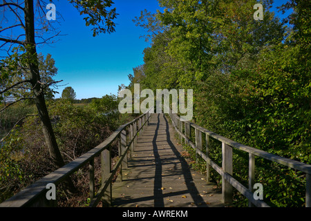 Autumn leaves and foliage in the public park pictures images photos photograph large high resolution from above horizontal in USA US hi-res Stock Photo