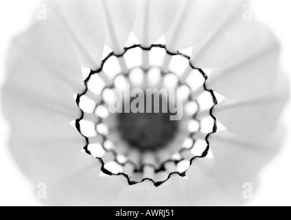 Shuttlecock, close-up, b&w. Stock Photo