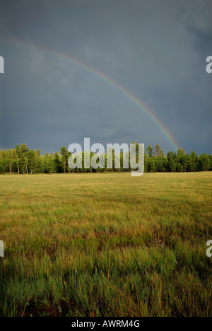 Summer rainbow forms over the prairie during a rain storm in Coconino County Arizona Stock Photo