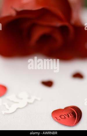 Red rose and heart shaped confetti on white background Stock Photo