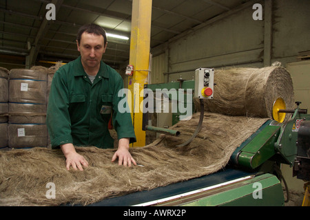 A worker is spreading scutched flax fibers before they enter the ...