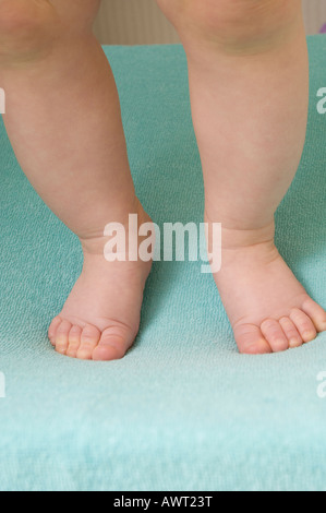 6 month old baby learning girl standing up Stock Photo