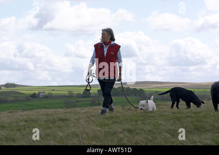 lady dog walking Stock Photo