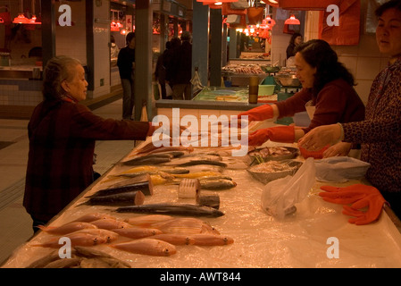 dh Tai Po indoor Market TAIPO WET MARKETS HONG KONG NT Fish food stall shop customer fishmonger trader people china old lady Stock Photo