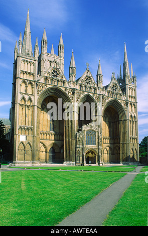 The Cathedral, Peterborough, Cambridgeshire Stock Photo - Alamy