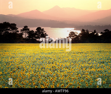 IE - CO.CORK:  Bantry Bay Stock Photo