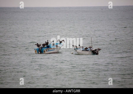 Fishing boats Puerto Lopez fishing Harbour Ecuador South America Stock Photo