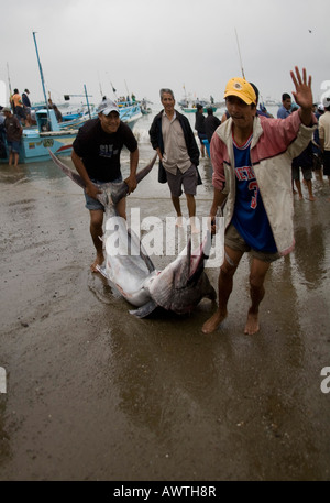 Fisherman with swordfish Puerto Lopez fishing Harbour Ecuador South America just caught catch Stock Photo