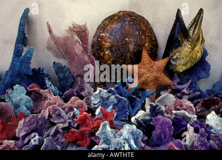 vendor selling seashells, vendor, seashells, coral, corals, Straw Market, Nassau, New Providence Island, Bahamas, West Indies Stock Photo