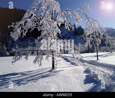 DE - BAVARIA: Winter Scene near Fall Stock Photo