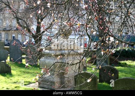 William Townesend Monument St Giles Church Oxford through cherry blossom Stock Photo