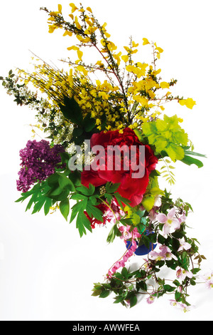 Sring flowers bouquet, close-up Stock Photo