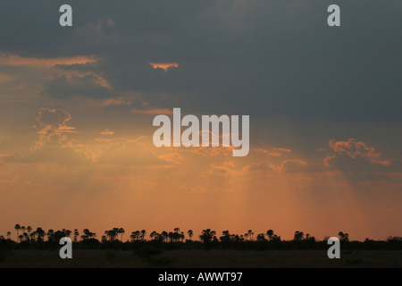 African Sunset Wide Angle Landscape Magadikgadi Salt Pan Botswana Africa Stock Photo