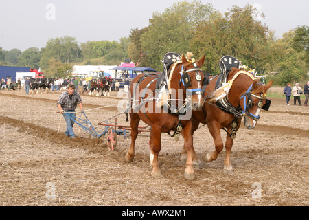 56th British National Ploughing Match Championships Loseley Park Guildford Surrey October 2006 Stock Photo