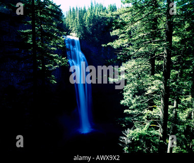 Salt Creek Falls pours over a rocky cliff in the Willamette National Forest in the Cascade mountains of Oregon Stock Photo