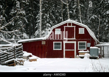 Winter scences Stock Photo