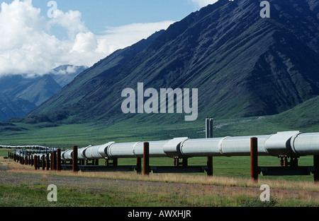 USA, Alaska, Dalton Highway pipeline in valley Stock Photo