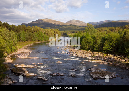 The River Dee flowing through Ballochbuie Forest at Invercauld, near Braemar; in the distance are the hills of Lochnagar. Stock Photo