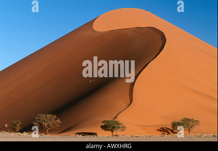 Namibia, Namib Desert, sand dunes Stock Photo