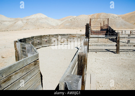 Cattle loading ramp in California 2 Stock Photo