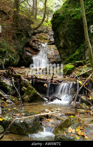 Waterfalls of autumnal Horne Diery Gorge, Mala Fatra mountain range, Slovakia