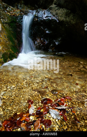 Waterfalls of autumnal Horne Diery Gorge, Mala Fatra mountain range, Slovakia