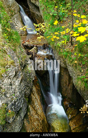 Waterfalls of autumnal Horne Diery Gorge, Mala Fatra mountain range, Slovakia