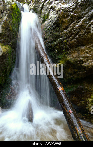Waterfalls of autumnal Horne Diery Gorge, Mala Fatra mountain range, Slovakia
