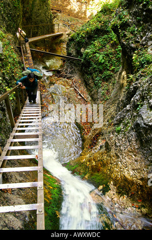Ladders and Waterfalls of autumnal Horne Diery Gorge, Mala Fatra mountain range, Slovakia