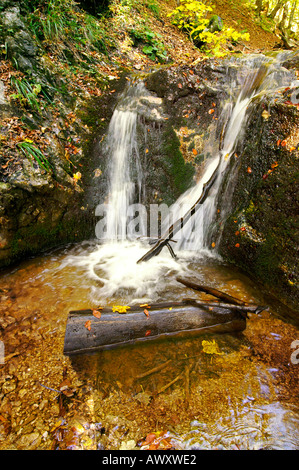 Waterfalls of autumnal Horne Diery Gorge, Mala Fatra mountain range, Slovakia