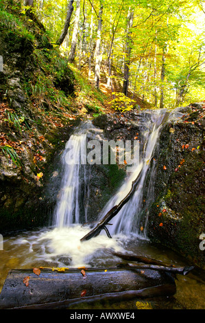 Waterfalls of autumnal Horne Diery Gorge, Mala Fatra mountain range, Slovakia