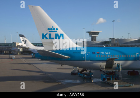 dh Schiphol Terminal AMSTERDAM AIRPORT HOLLAND Aircraft KLM aeroplanes loading plane cargo airplane Stock Photo