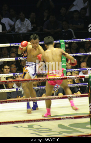 Muay Thai (Thai Boxing)  Lumpini Stadium Bangkok Stock Photo